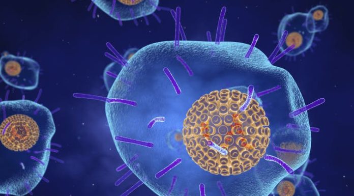 The chickenpox virus has a fascinating evolutionary history that continues to affect peoples' health today