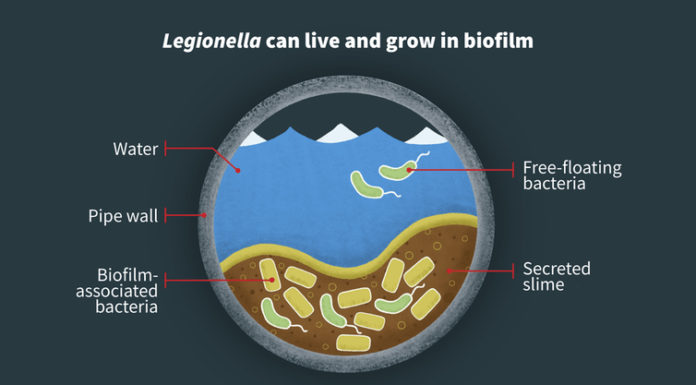 Dangerous bacteria is showing up in school water systems, reminding all buildings closed for COVID-19 to check the pipes