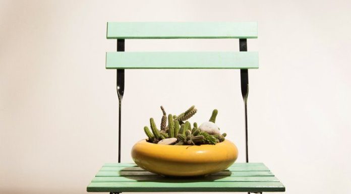 What Is Rectal Bleeding? Symptoms, Causes, Diagnosis, Treatment, and Prevention