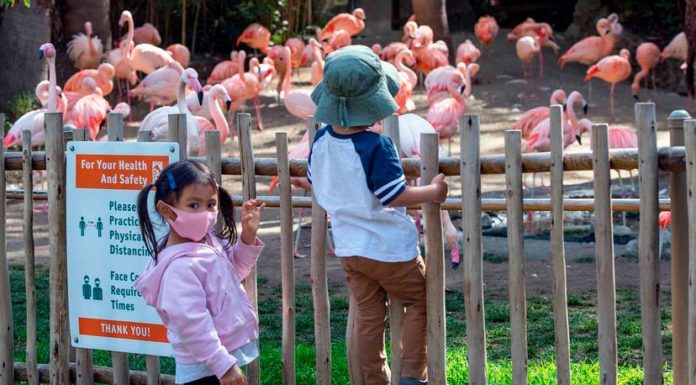 One Year In: COVID-19 Has Changed Us Forever. Here’s How