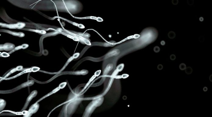 Men’s Sperm Count Down Significantly, Study Finds