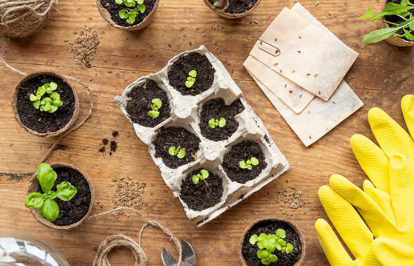 Save the Planet: 21 Earth Day Activities and Crafts for Kids