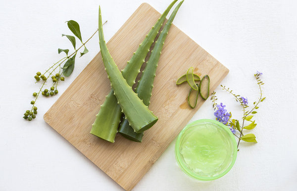 Love Your Skin: 8 Aloe Vera Face Masks For a Clear Complexion