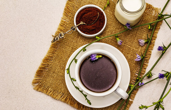 Rise and Slay! 20 Chicory Coffee Recipes to Jumpstart Your Day