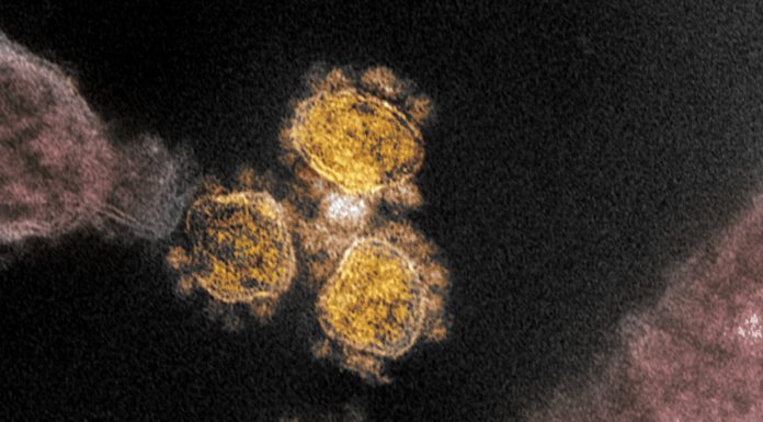 How to stay safe with a fast-spreading new coronavirus variant on the loose