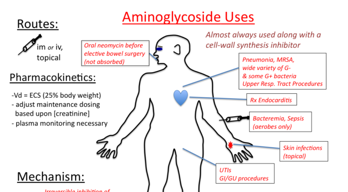 What Are Aminoglycosides?