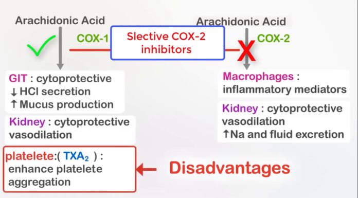 What Are COX-2 Inhibitors?