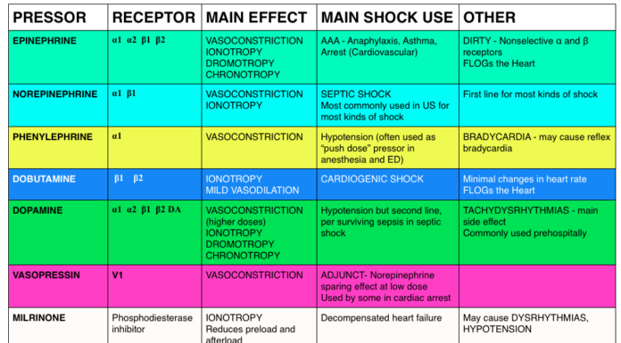 What Are Vasopressors?