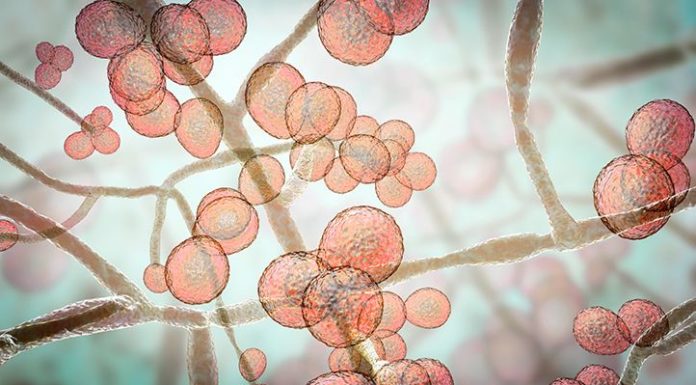 What Are VRE? Symptoms, Causes, Diagnosis, Treatment, and Prevention