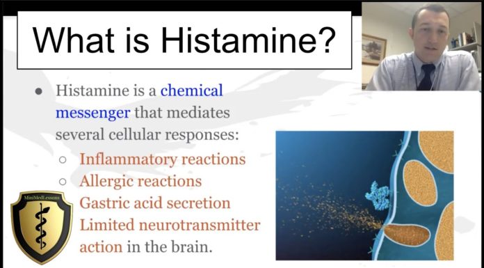 What Is Histamine?