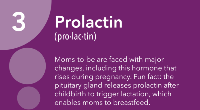 What Is Prolactin?