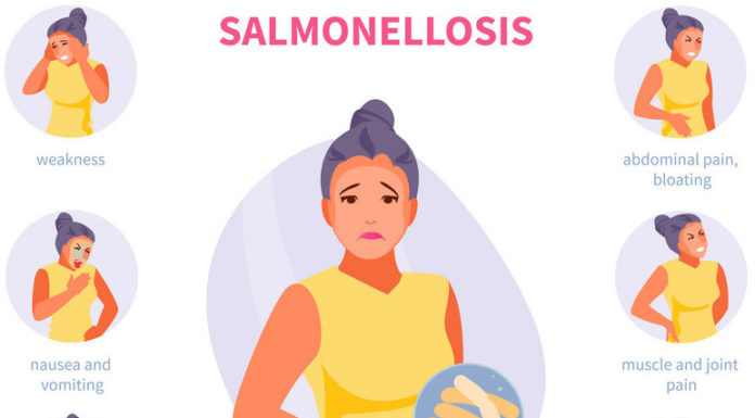 What Is Salmonella? Symptoms, Causes, Diagnosis, Treatment, and Prevention
