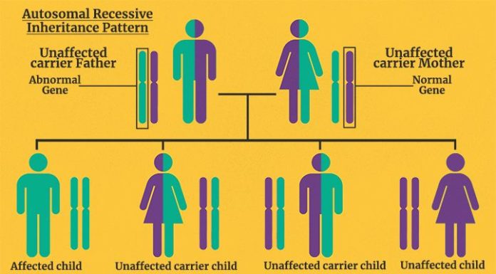 What Is XYY Syndrome? Symptoms, Causes, Diagnosis, Treatment, and Prevention